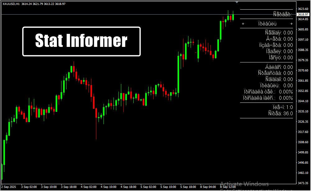 Stat Informer