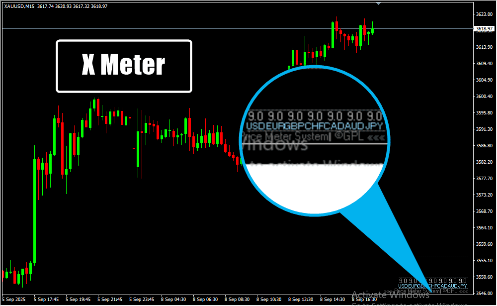 X Meter