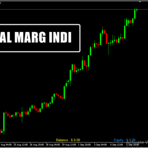 ACC BAL MARG INDI MT4 Indicator