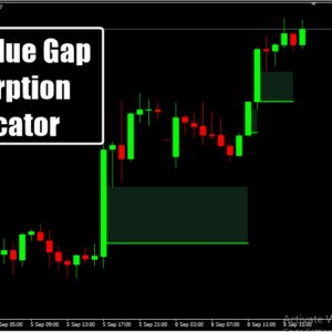 Fair Value Gap Absorption Indicator